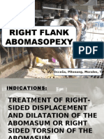 Right Flank Abomasopexy