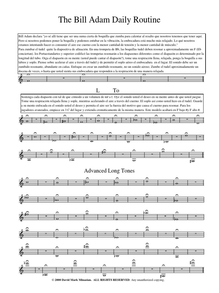 Adam Español PDF | PDF | Instrumentos musicales | Organologia Elemental