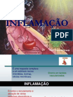 204628290 Aula 04 Cont Inflamacao