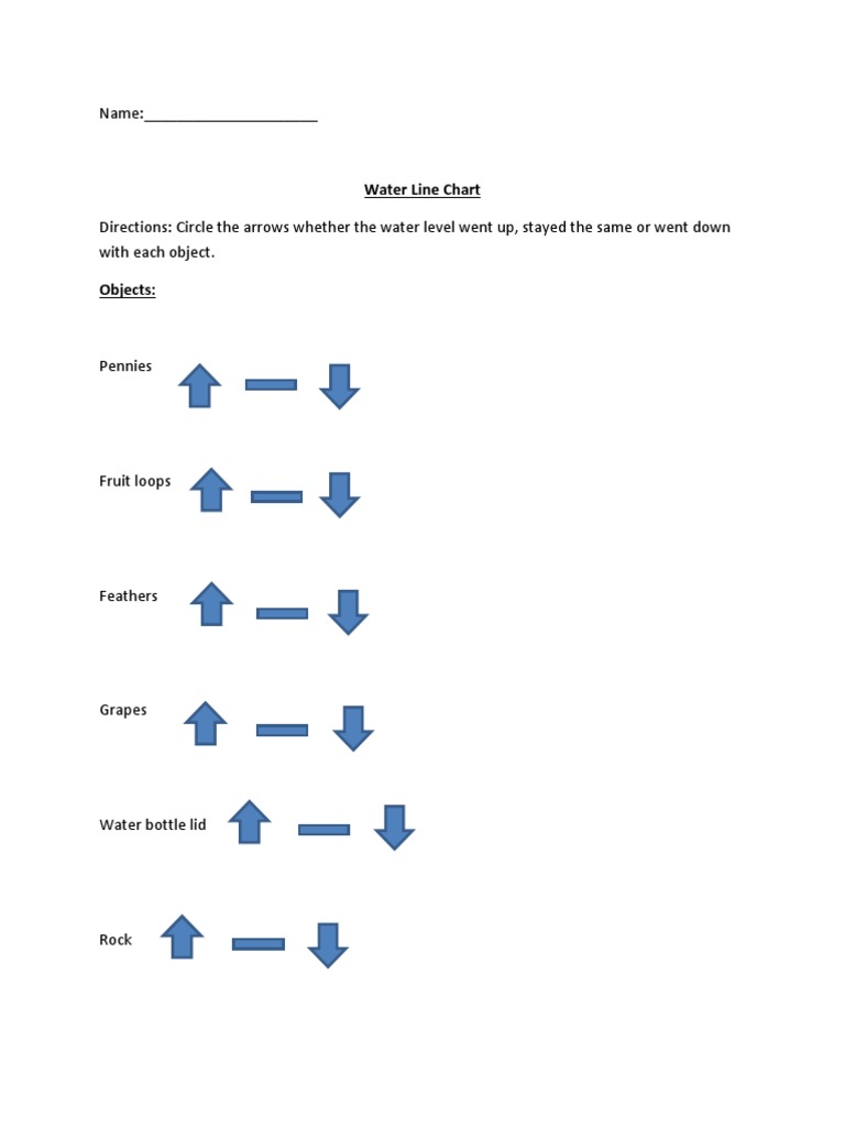 Water Level Changes with Objects | PDF | Art | Science & Mathematics