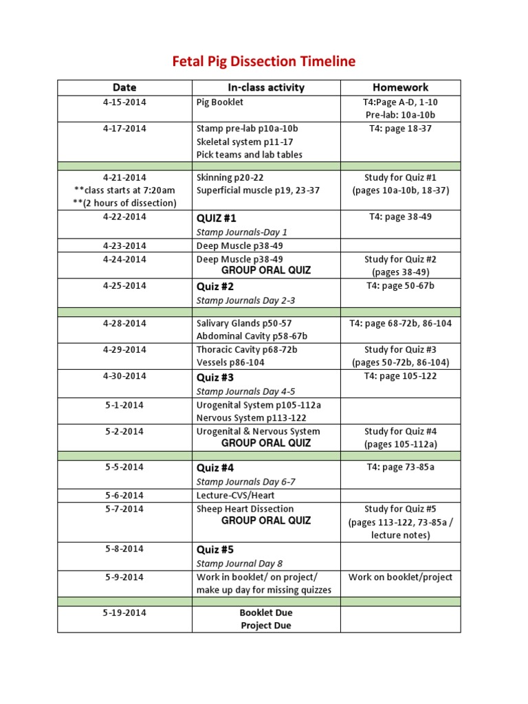 Fetal Pig Dissection Timeline | PDF | Science & Mathematics ...