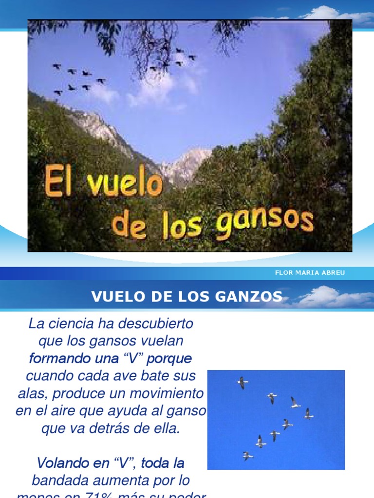 El Vuelo de Los Gansos PDF