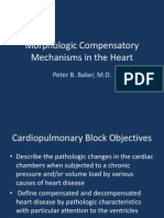 Morphologic Compensatory Mechanisms in The Heart: Peter B. Baker, M.D