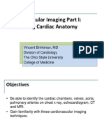 Cardiac Imaging Module 1A-2