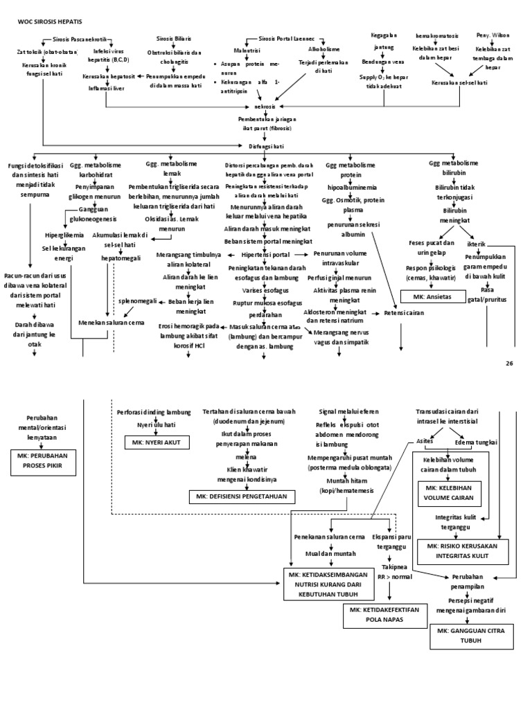 Woc Sirosis Hepatis Revisi Docx