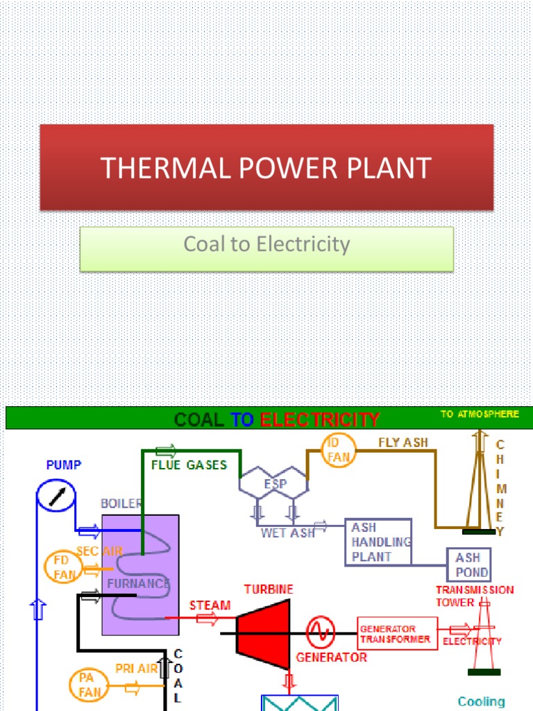 Steam Power Plant and Coal | PDF | Combustion | Coal