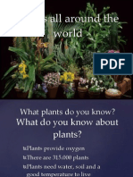 8th 02 Plants