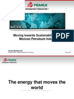 Moving Towards Sustentability in The Mexican Petroleum Industry