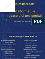 Curs Urologie 2 Malformații