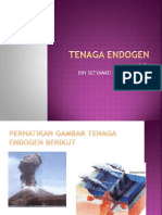 Tenaga Endogen