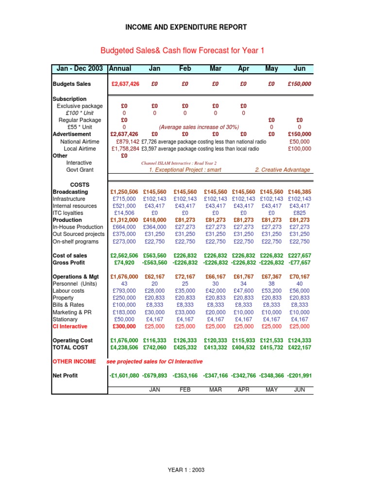 Budgeted Sales& Cash Flow Forecast For Year 1: Income and Expenditure ...