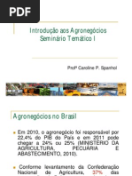 Introdução ao Agronegócio