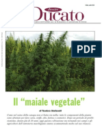 Il "Maiale Vegetale"