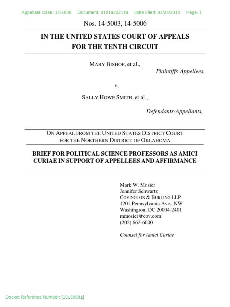Political Science Profs Amicus Brief Amicus Curiae Homosexuality