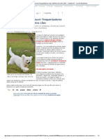 Parque da Cidade vai ouvir frequentadores sobre polêmica lei contra cães - Cidades DF - Correio Braziliense.pdf