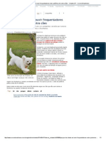 Parque Da Cidade Vai Ouvir Frequentadores Sobre Polêmica Lei Contra Cães - Cidades DF - Correio Braziliense PDF