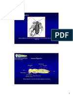 ENTO GEN ANAT Y FISIO Cap IV 1 Parte A B 2005.desbloqueado PDF