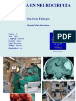 Neuroanestesia N Fabregas