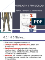 6 5 Nerves Hormones and Homeostasis