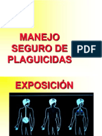 Manejo Seguro de Plaguicidas