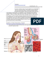 Unit 3a The Respiratory System