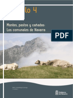 Montes, Pastos y Cañadas - Los Comunales de Navarra