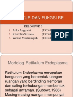 Struktur Dan Fungsi Re