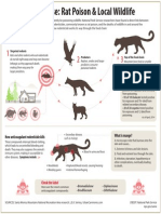 Rodenticide Infographic