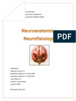 Neuro Anatomia