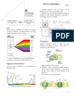 Fotosíntesis PDF