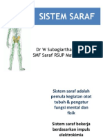 Sistem Saraf3 2003
