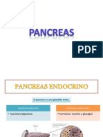 Pancreas Emdocrino