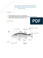 Inspeccion Sanitaria de Peces y Control Bromatologico Fisico Organoleptico de Las Especies Icticas de La Comercializacion Al Consumidor