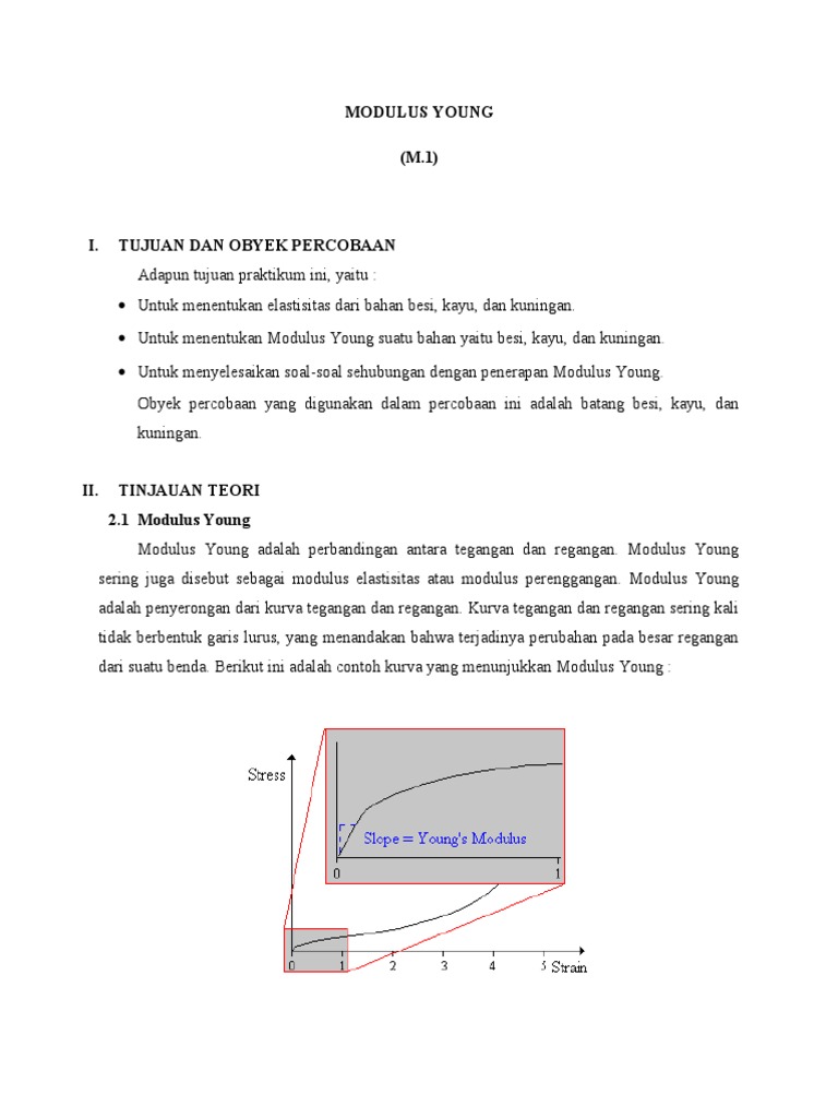 Praktikum Modulus Young pada Bahan | PDF | Sains & Matematika