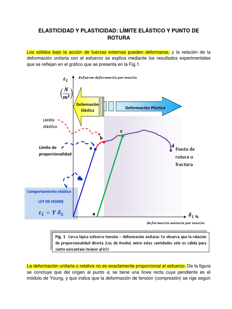 Elasticidad y Plasticidad | Plasticidad (Física) | Elasticidad (Física)