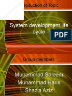 Download systemdevelopmentlifecyclePresentationbysalimbbaSN21894887 doc pdf