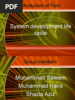 Download systemdevelopmentlifecyclePresentationbysalimbbaSN21894887 doc pdf