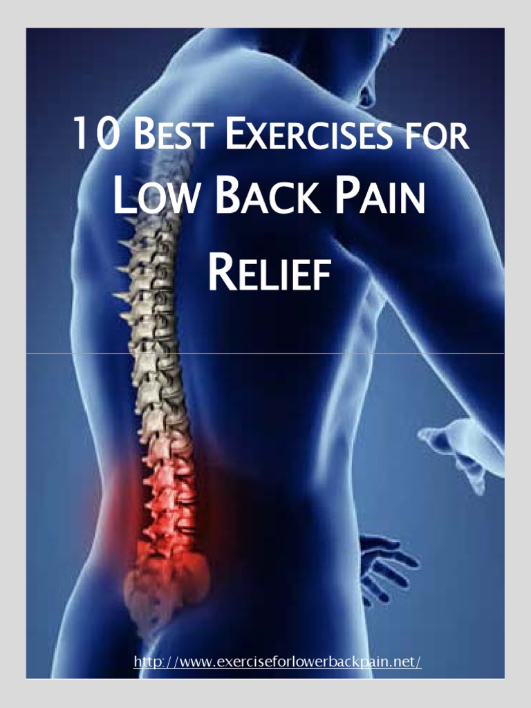 Best Exercises for Low Back Pain Relief | PDF | Back Pain | Hip