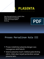 Manual Plasenta