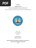 Download Escherichia Coli by Desy Nurdiana Sari SN218981271 doc pdf
