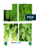 Ökologische Anpassung Von Blättern PDF