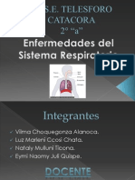 El Sistema Respiratorio