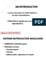 Sistema Reproductor PDF