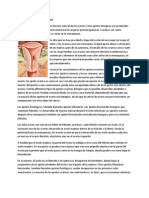 Los quistes y el cáncer de ovario.pdf