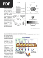 Download Cmo medir el tiempo histrico o cronolgico de la historia Y los mtodos de datacin by Clara SN219053008 doc pdf
