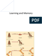 Physiological Psychology - Learning & Memory - Lecture 26 Mar 19 2014