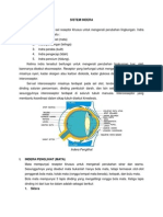 Sistem Indera Pada Manusia