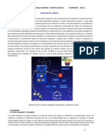 03.Oncogenética.pdf