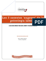 PDF Los 3 secretos de la psicología laboral