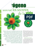 Nitrogeno 64 PDF